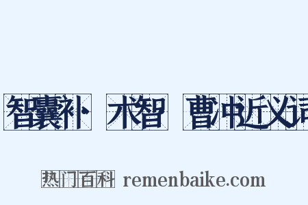 智囊补·术智·曹冲近义词是什么意思的图片